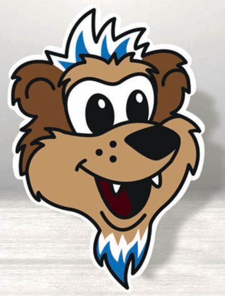 Hertha BSC Formkissen Herthinho