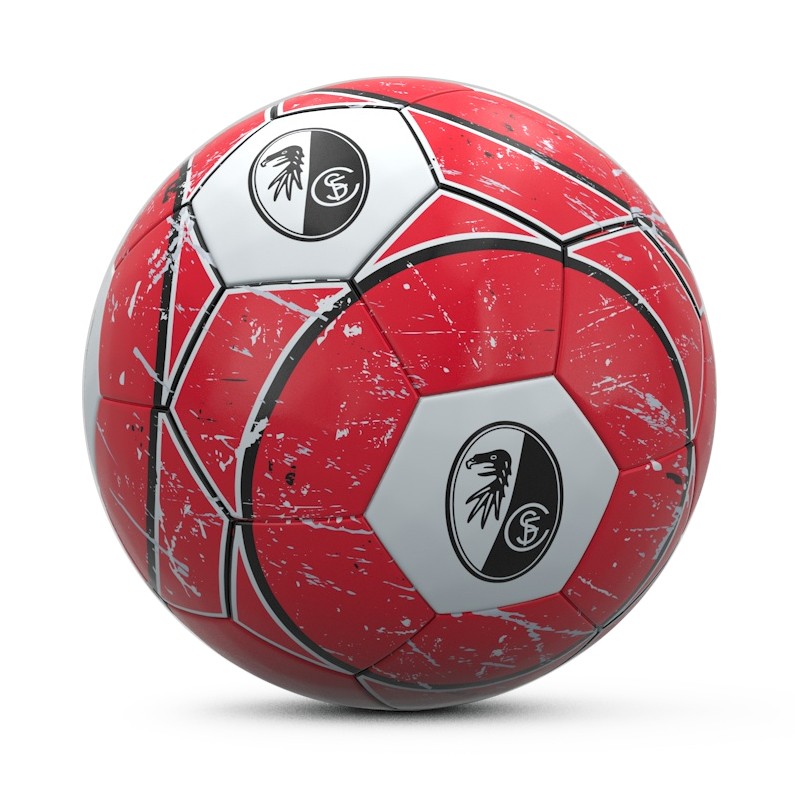 SC Freiburg Fußball